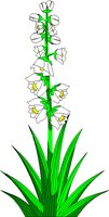 YUCCA.WMF