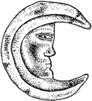 FMI134C.JPG