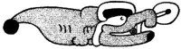 FMI128I.JPG