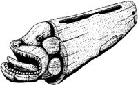 FMI122G.JPG