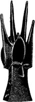 FMI122E.JPG