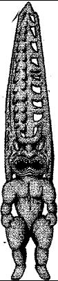 FMI117C.JPG
