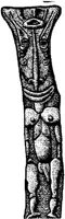 FMI116D.JPG
