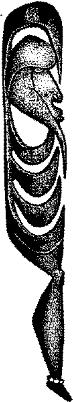 FMI116C.JPG