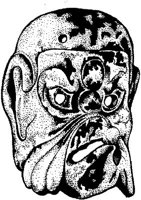 FMI099F.JPG