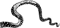 FMI099A.JPG