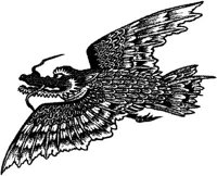 FMI096E.JPG