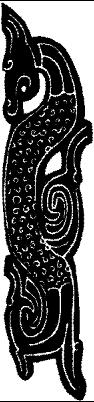 FMI087D.JPG