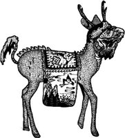 FMI082C.JPG