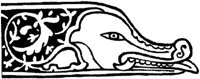 FMI081A.JPG