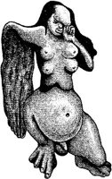 FMI071A.JPG