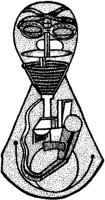 FMI069F.JPG