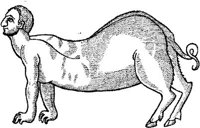 FMI062F.JPG