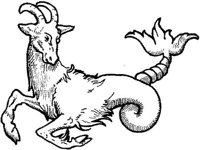 FMI055B.JPG