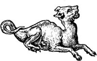 FMI049D.JPG