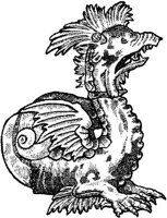 FMI046A.JPG