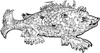 FMI043H.JPG