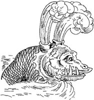 FMI043G.JPG