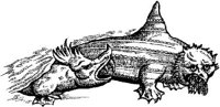 FMI041A.JPG