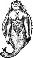 FMI039C.JPG