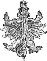 FMI036E.JPG