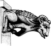 FMI035A.JPG