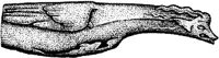 FMI034G.JPG