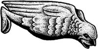 FMI034A.JPG