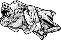 FMI033F.JPG