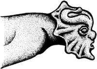 FMI032F.JPG