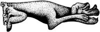 FMI031F.JPG