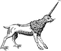 FMI028E.JPG
