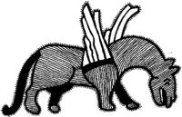 FMI013E.JPG