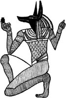 FMI002D.JPG