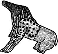 FMI001E.JPG