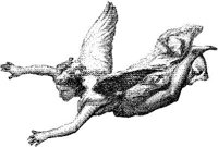 WMN100B.JPG