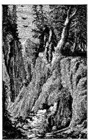 NTS036C.JPG