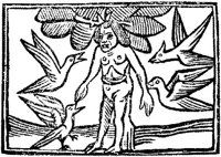 DDW121A.JPG