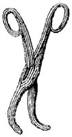 HPN031AN.JPG