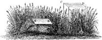 HPN023CC.JPG