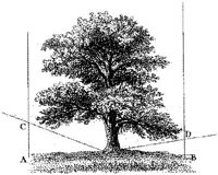 HPN023BU.JPG