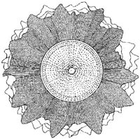 HPN023AW.JPG