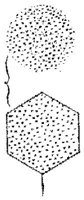 HPN023AD.JPG