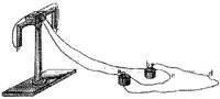 HPN022AQ.JPG