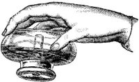 HND049E.JPG