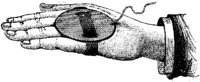 HND008L.JPG