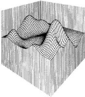 CGX027A.JPG