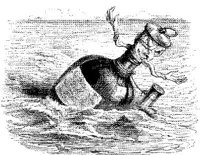 FIG017A.JPG