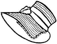 VSC029K.JPG