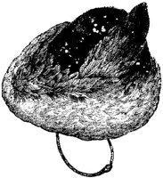 CFS041B.JPG
